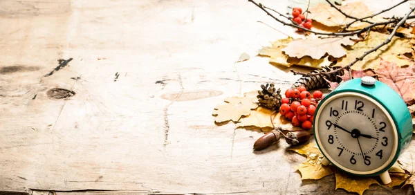 Oude wekker met herfst bladeren, kegels en bessen — Stockfoto