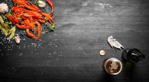 Fresh boiled crawfish with beer. — Stock Photo, Image