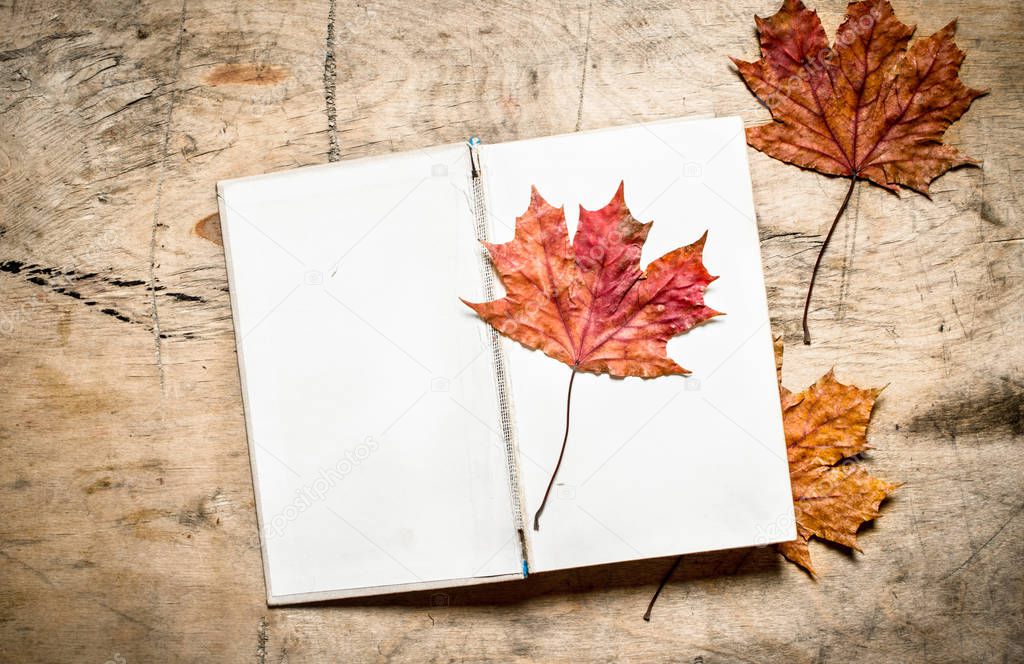 Old books and autumn leaves.