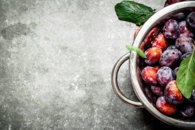 Olgun Erik yeşil yaprakları ile.