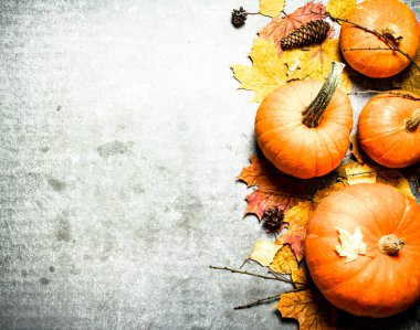 Sonbahar yapraklı balkabakları.