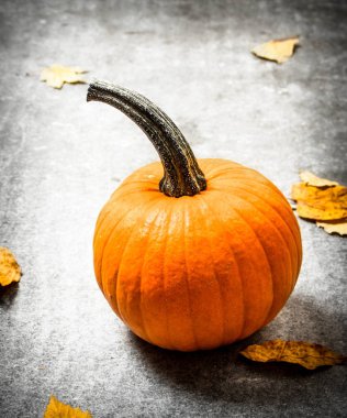 Kabak ile sonbahar yaprakları.