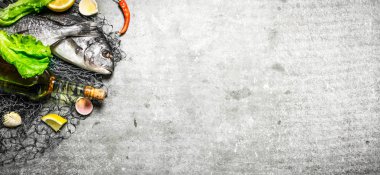 Bir şişe beyaz şarap ile taze balık