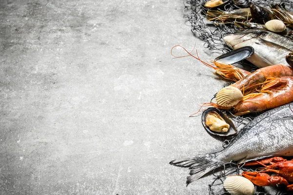 Fresh seafood with a fishing net. — Stock Photo, Image