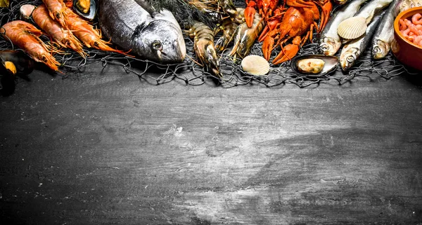Çeşitli deniz karides, kabuklu deniz ürünleri ve Balık ağı, ıstakoz.