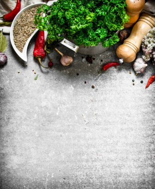 Baharat ile taze maydanoz