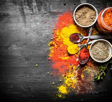 Kuru Hint baharat ve otlar