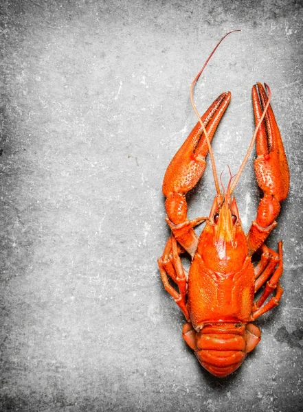 Gıda lezzetleri. Taze haşlanmış ıstakoz.