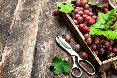 Eski bir tepsi üzerinde kırmızı üzüm.