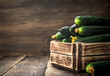 Eski bir kutu içinde taze salatalık.