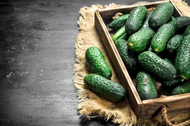 Eski bir kutu içinde taze salatalık.