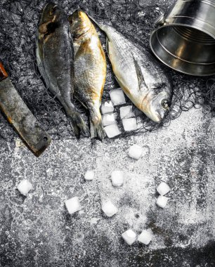 Bir kesme tahtası üzerinde taze hazırlıksız dorado balık.