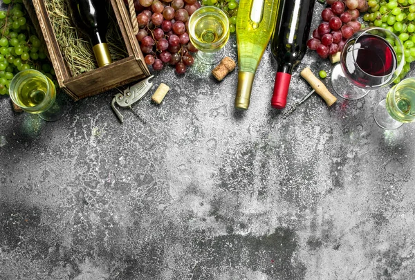 Şarap arka plan. Kırmızı ve beyaz taze üzüm şarap.