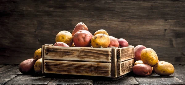 Frische Kartoffeln in einer Holzkiste. — Stockfoto