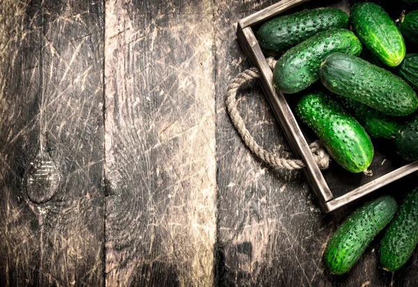 Fresh cucumber on an old tray. — Stock Photo, Image