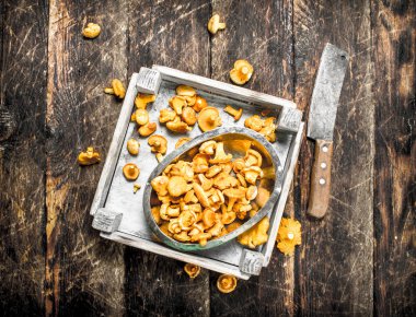 Bir kutu içinde taze mantar.