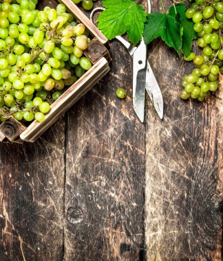 Bir kutu içinde Yeşil üzüm.