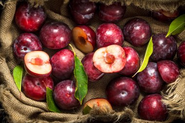 yaprakları taze Erik.