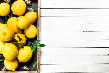 Bir tepsi üzerinde taze limon.