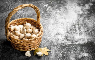 Taze mantarlar sepette.