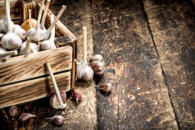 eski bir kutu içinde sarımsak.