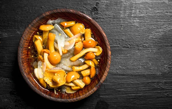 bir kase içinde Marine mantar.