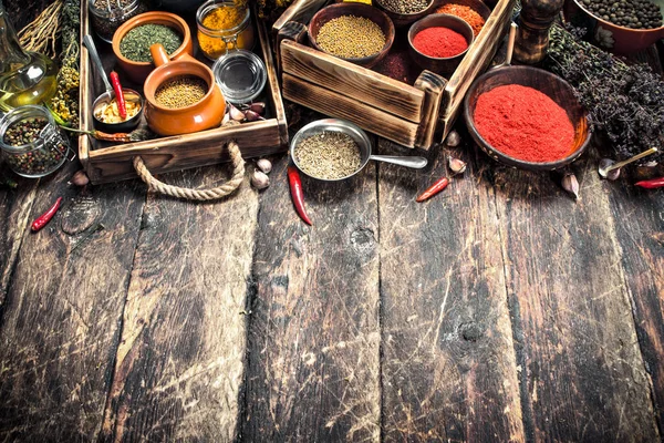 Çeşitli baharatlı baharat ve otlar.