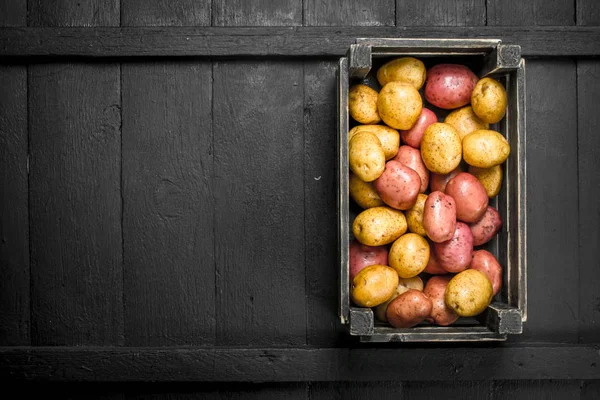 Frische Kartoffeln in einer alten Schachtel. — Stockfoto