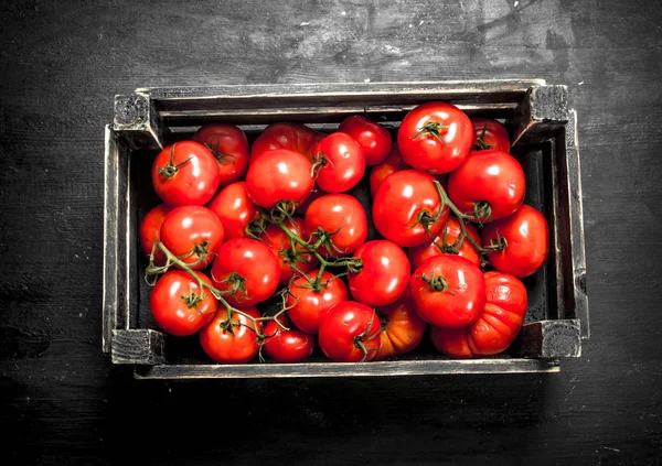 The tomatoes in the box.