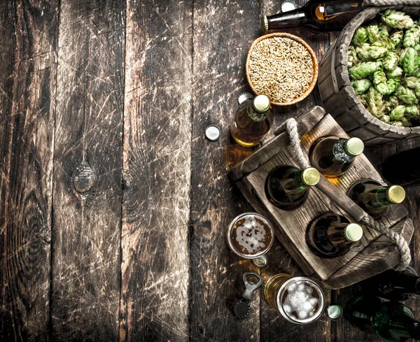 Frisches Bier mit grünem Hopfen und Malz. — Stockfoto