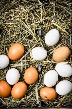 Eski bir tepsi üzerinde taze tavuk yumurta.