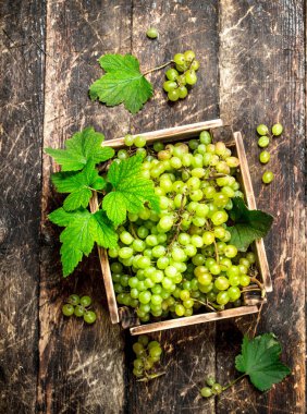 Bir kutu içinde Yeşil üzüm.
