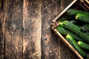 Eski bir kutu içinde taze salatalık.