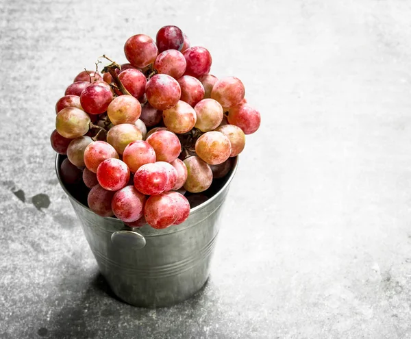 Uvas vermelhas em um balde . — Fotografia de Stock