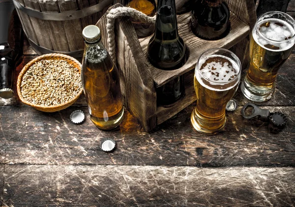 Fris biertje met groene hop en mout. — Stockfoto
