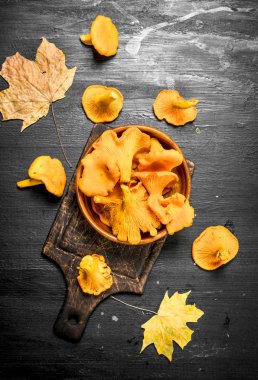 Bir kase taze Cantharellus cibarius mantar.