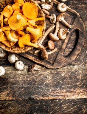 Taze mantar, bal agarics ve chanterelles.