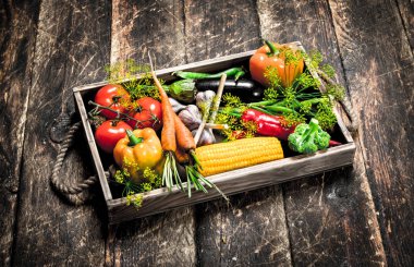 Organik gıda. Sebze taze hasat.