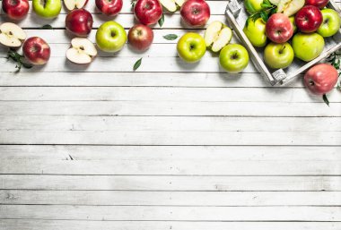 yaprakları taze elma.