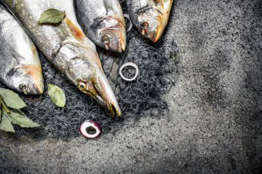 Taze balık, dorado ve Balık ağı ile pike.