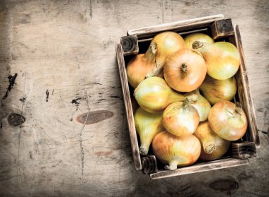 Eski bir kutu içinde taze soğan.