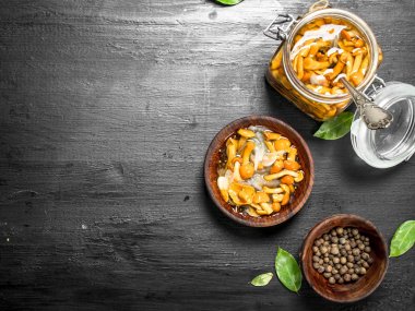 bir kase içinde Marine mantar.