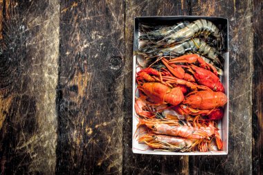 Bir kutu içinde farklı karides.