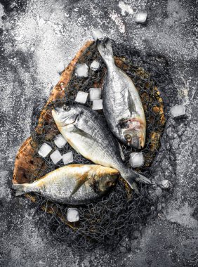 Buz küpleri ile taze Dorado balık.