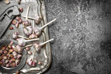 Taze sarımsak basın aracı ile çelik bir tepsi.