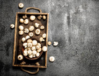 Bir kasede taze mantarlar.