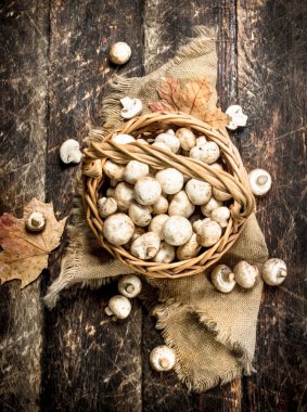 Taze mantarlar sepette.