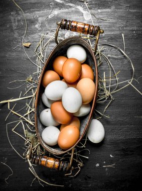 taze yumurta bir kase.