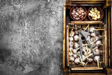 Eski bir kutu içinde taze sarımsak.