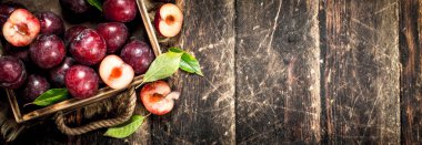 Eski bir tepsi içinde olgun Erik.